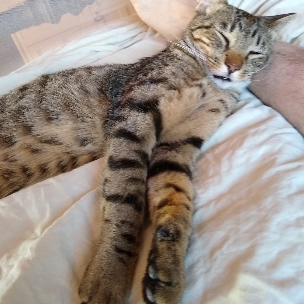 Meet your Posher, Brenda